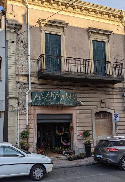 Aleana S.n.c. Di Mignani D. E Celisi T., Fiorista a Santa Teresa di Riva