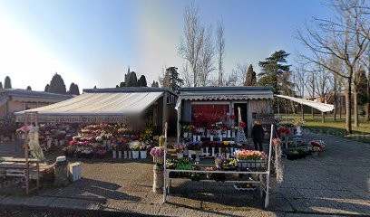 B. E B. Di Baccigotti Luisa E Betti Simonetta S.N.C., Fiorista a Bologna