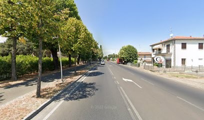 Ferlini Elena Box Fiori Piratello, Fiorista a Imola