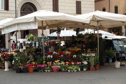Pippo Campo De' Fiori, Fiorista a Roma