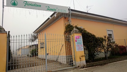 Zanetto Floricoltura, Fiorista a Stroppiana