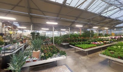 Delaini Fiori, Fiorista a Roncadelle