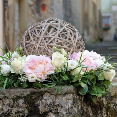 Non Solo Fiori - Fioreria La Spezia, Fiorista a La Spezia