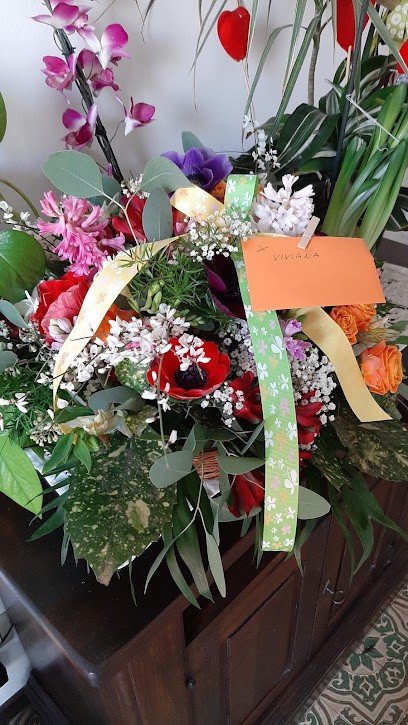 Kalos, Fiorista a San Felice sul Panaro