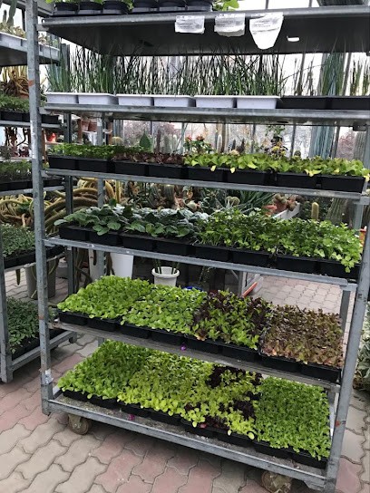 Marcandalli Eralda Floricoltura, Fiorista a Brembate