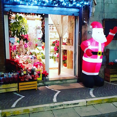 Flower Chìc, Fiorista a Falciano del Massico