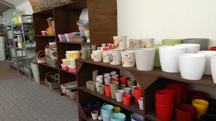 Ghini Floricoltura Di Davide Ghini, Fiorista a Lugo