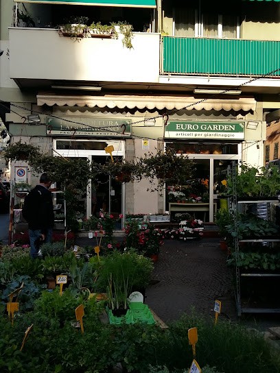 Eurogarden & Floricoltura Lagomarsino, Fiorista a Genova