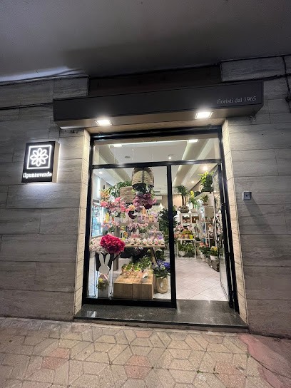 Il Punto Verde Di Longo Sebastiano, Fiorista a Modugno