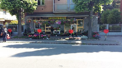 Giardino Di Alice Di Maffei Tiziana & C., Fiorista a Modena