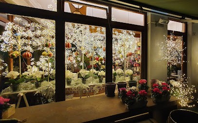 Fioreria Patrizia S.r.l., Fiorista a Tricesimo