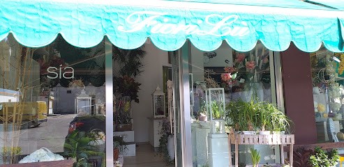 Fiorilu Di IACONISI Lucia, Fiorista a Leverano