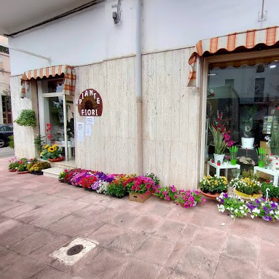 PIANTE & FIORI DA GIANNI, Fiorista a Grottaglie