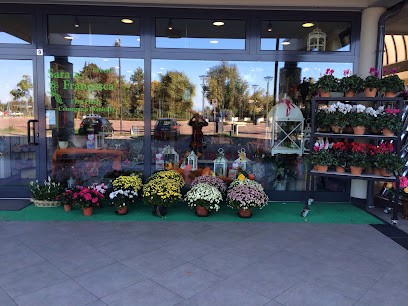 Consegna Fiori A Marcon - Fioreria Sara & Francesca, Fiorista a Marcon