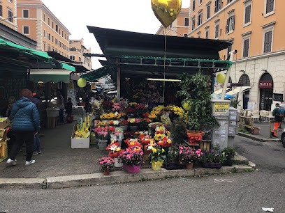 SAH FIORAIO, Fiorista a Roma