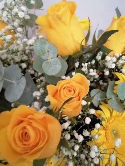 Verdelli Piera, Fiorista a Monticelli d'Ongina