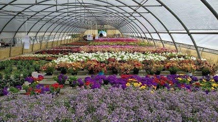 ORTOFLOROVIVAISTICA ROSSATO, Fiorista a Castegnero