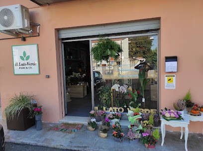 Il Lato Verde Fiori & Co., Fiorista a Vignola