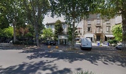 Rose Di Raso Di Benzi Andrea & C. Sas, Fiorista a Carpi