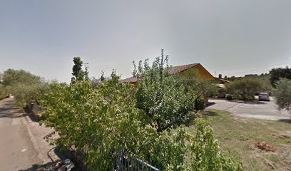 Bonini Floresport (S.N.C.), Fiorista a Pescia