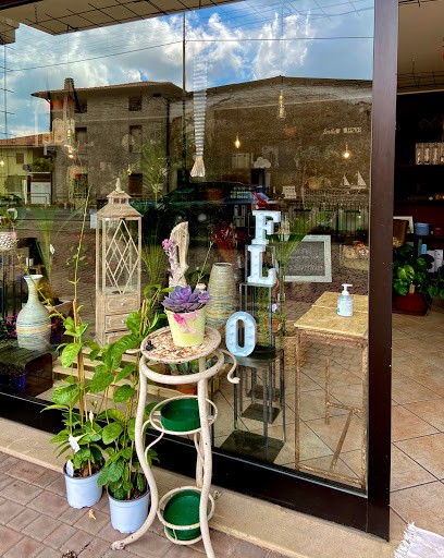 Flò Fioreria - Fiori, Eventi E Cose Belle, Fiorista a Nuvolento
