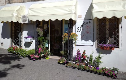 Coquelicot Di Viviane Castille, Fiorista a Olevano Romano