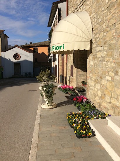 Piante E Fiori Di Bonifazi Stefania, Fiorista a Valfabbrica