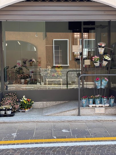 Non Ti Scordar di Me, Fiorista a Arconate