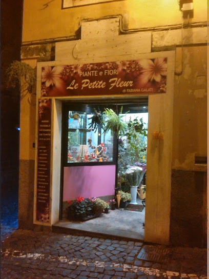Le Petite Fleur, Fiorista a Marino