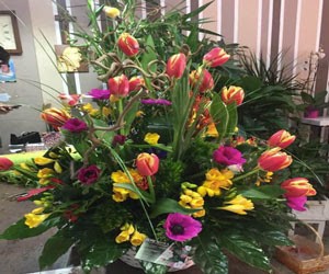 L'Orchidea, Fiorista a Palmi