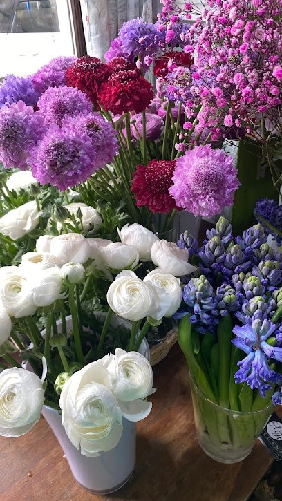 Roccia Loretta, Fiorista a Torino