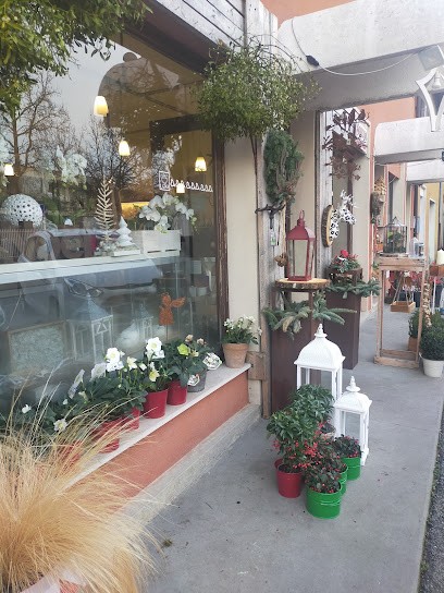 Leaf, Fiorista a Gaiarine