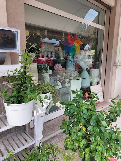 Fioreria Mauro Di Fanesi Mauro, Fiorista a Senigallia
