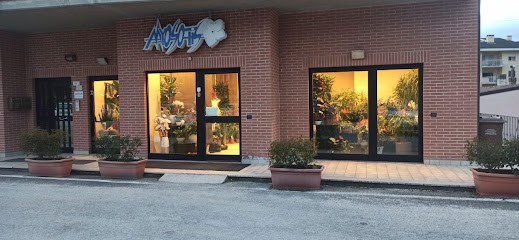 Myosotis S.N.C. Piante E Fiori, Fiorista a L'Aquila