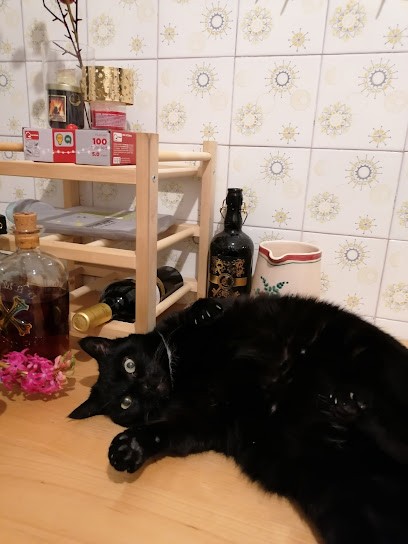 Maestri Stefano, Fiorista a Pavia