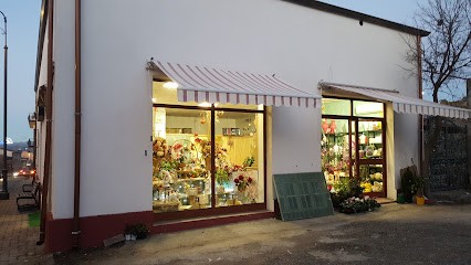 Vincenza Mulas - Fiorista, Fiorista a Nurri