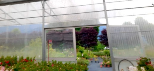 Garden Margherita, Fiorista a Santa Giustina