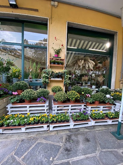 Il Mercatino Dei Fiori, Fiorista a Carate Brianza