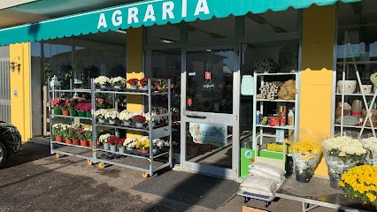 Agraria Terra e Fuoco, Fiorista a Brogliano