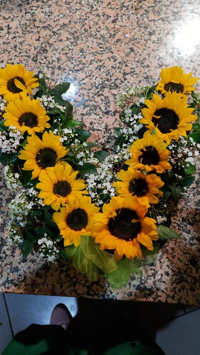 Art Floral Mimosa Piante E Fiori, Fiorista a Squinzano