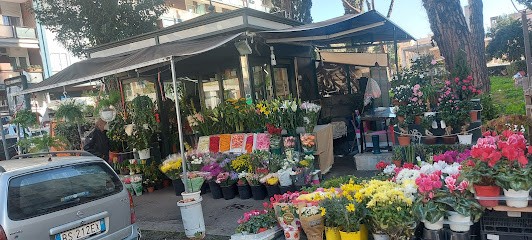 Fioraio Di Amedeo, Fiorista a Roma