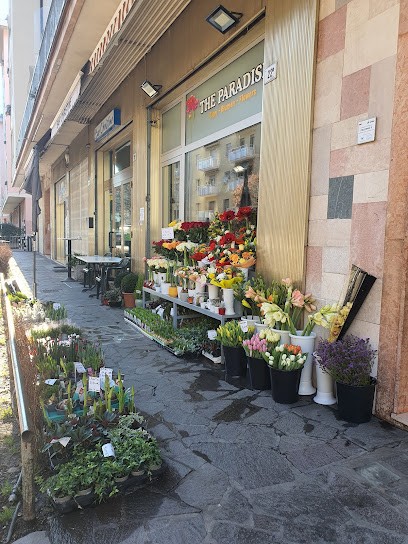 The Paradise Fiori Bolzano, Fiorista a Bolzano