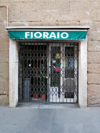 Aglietti Floricoltura, Fiorista a Firenze