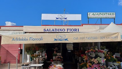Saladino Fiori, Fiorista a Marsala