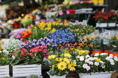 Fioreria Nela's, Fiorista a Trento