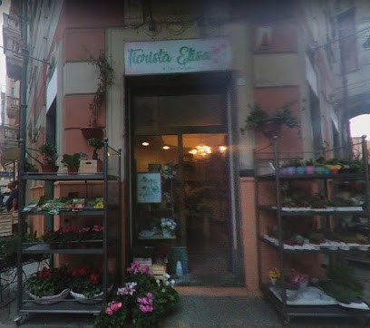 Fiorista Elisa, Fiorista a Vado Ligure