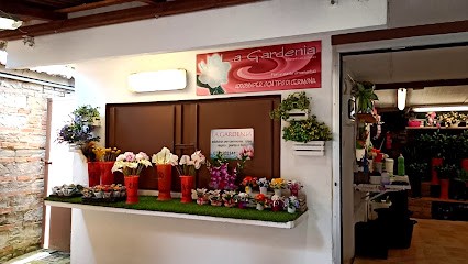 La Gardenia Snc Di Bernardi Luca & Barbara, Fiorista a Pesaro