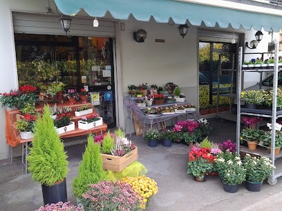 I Fiori Di Sonia Di Serri Sonia, Fiorista a Reggio nell'Emilia