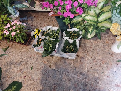 Pistoia Francesca, Fiorista a Subiaco