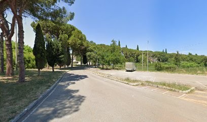 Piante E Fiori Di Casali Maria, Fiorista a San Giovanni in Marignano